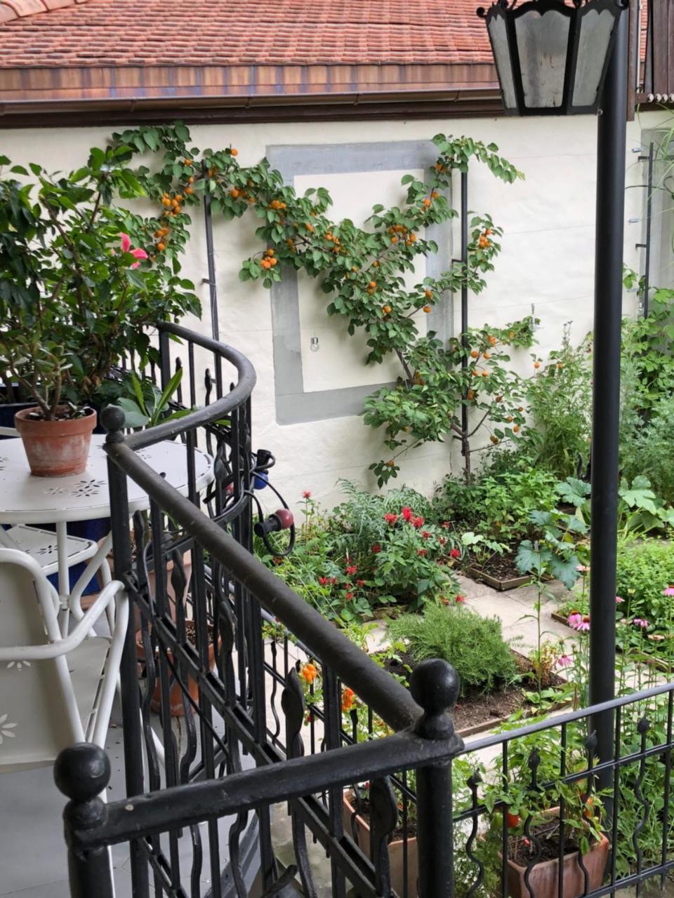 Good4Yew Bnb Zürih Dış mekan fotoğraf